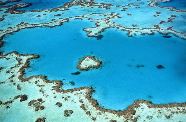 Swim alongside the Great Barrier Reef.