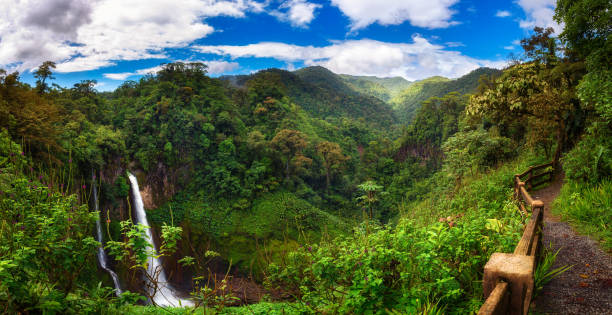 Costa Rica Rainforests: A Biodiversity Haven You Must Visit