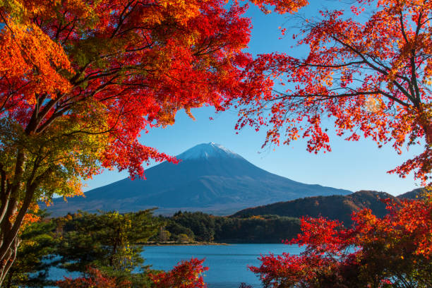 Kyoto, Japan