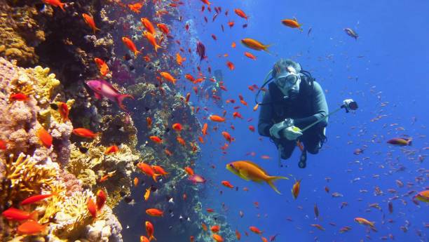 Great Barrier Reef