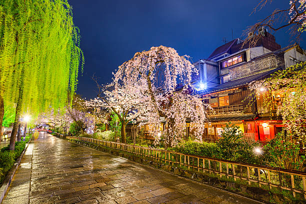  Kyoto, Japan