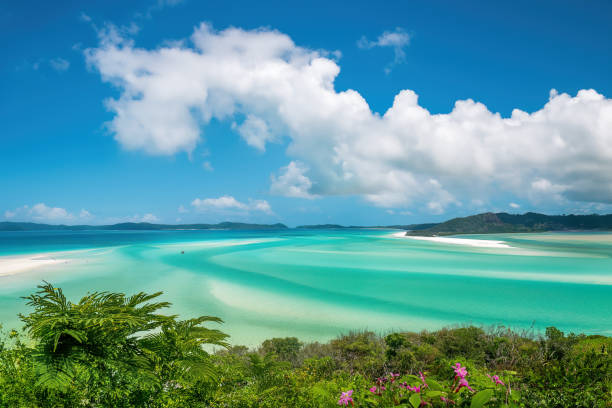 Whitehaven Beach 