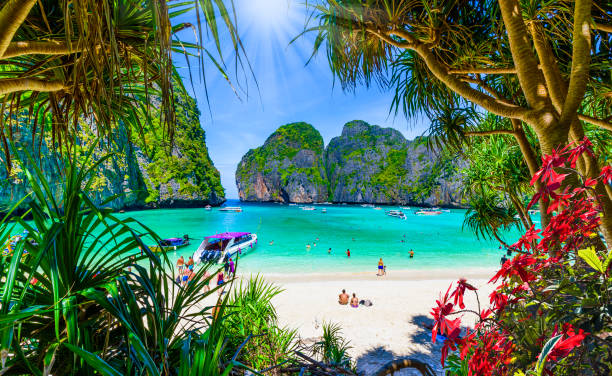 maya bay
