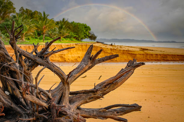 Mission Beach, Queensland