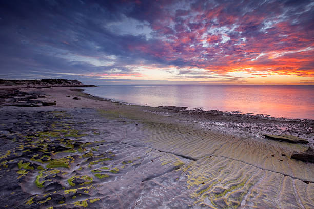 Ningaloo Reef, Western Australia