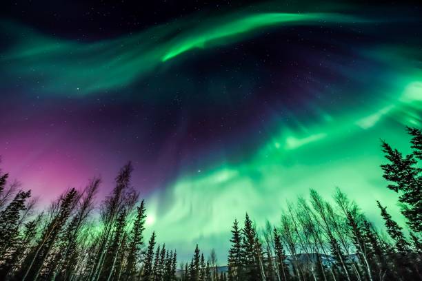 Northern Lights, Arctic Regions