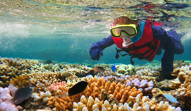 The Great Barrier Reef, Queensland