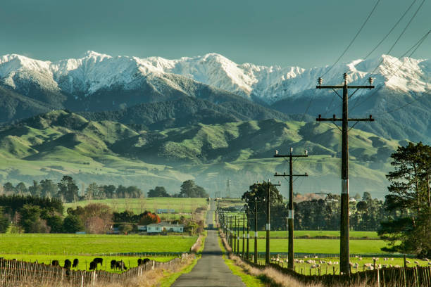 Thrills in New Zealand